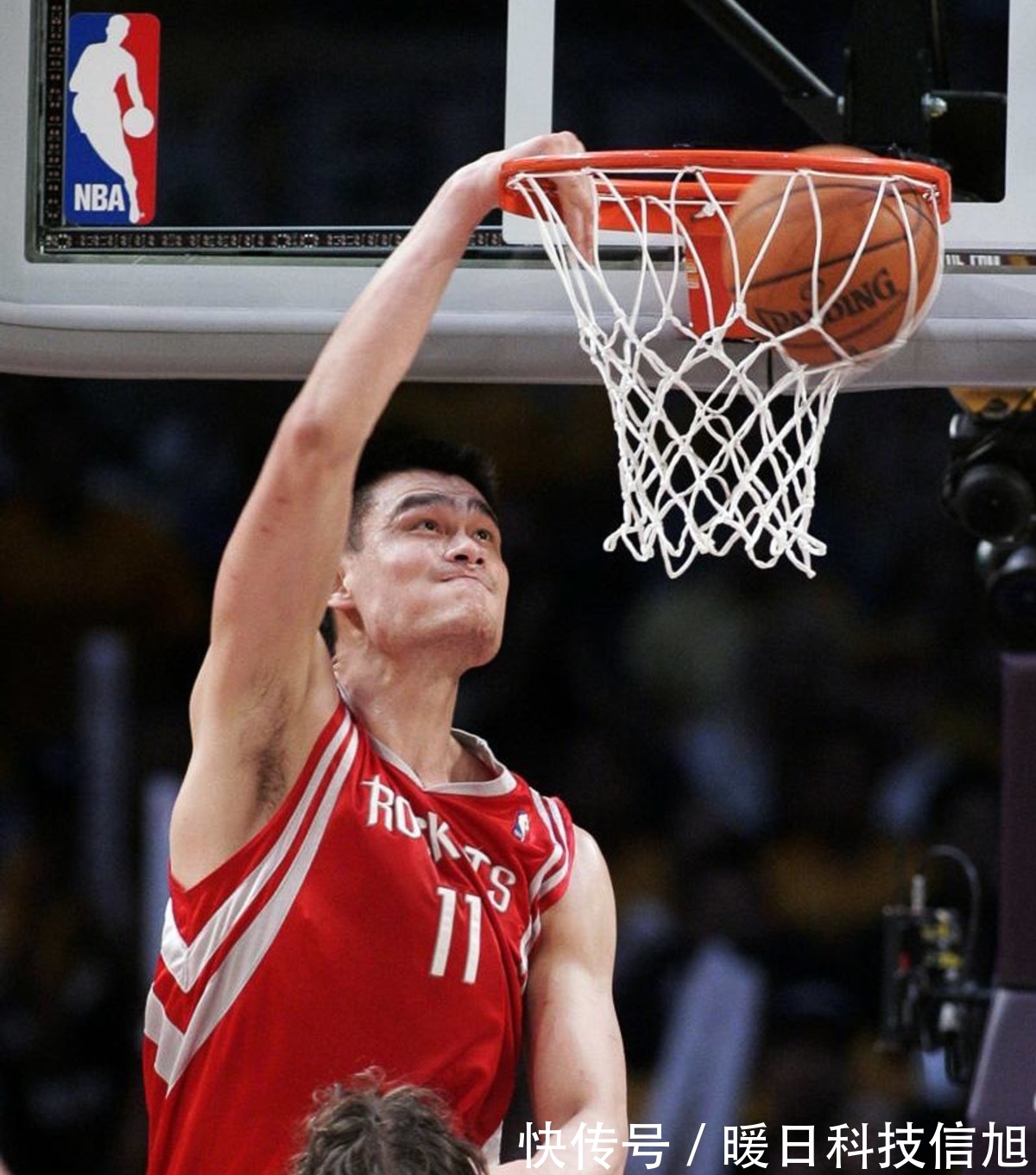 到常青之树 到常青之树